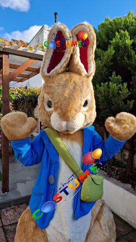Rabbit bunny lookalike costume - rabbit,