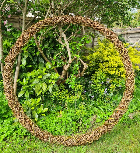 Giant natural circular willow - giant,