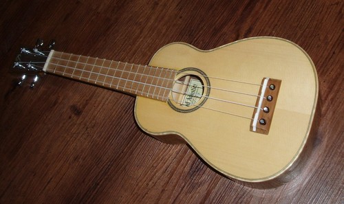 Pickard acoustics soprano - acoustics,