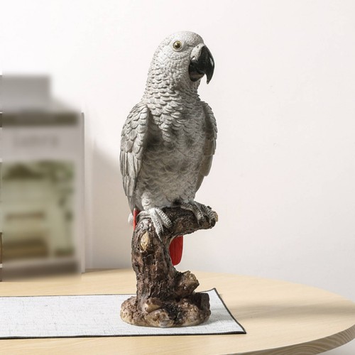 African grey parrot - grey,
