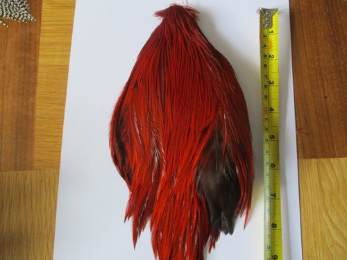Metz fiery brown cock neck - metz,