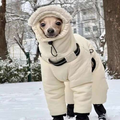 Waterproof winter dog - winter,
