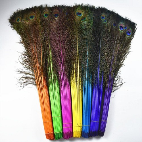 Long colourful peacock eye - long,