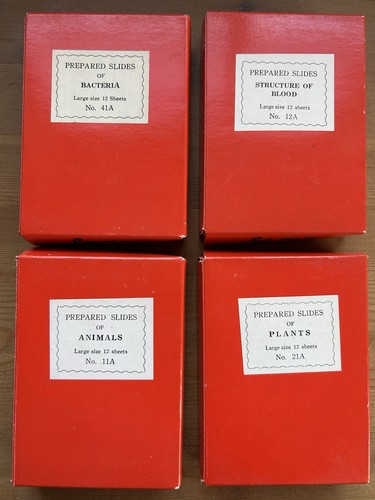 Boxes microscope sample - 4,