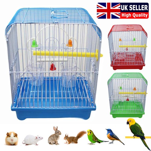 Small parakeet wire - parakeet, bird