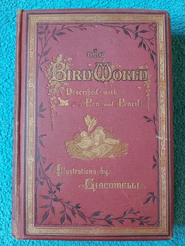 The bird world described - the, world,