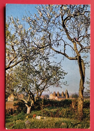 Vintage postcard unused - postcard,