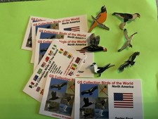 None RSPB Badges GS Collection