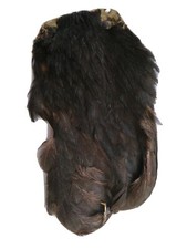 Fly fishing tying materials feathers