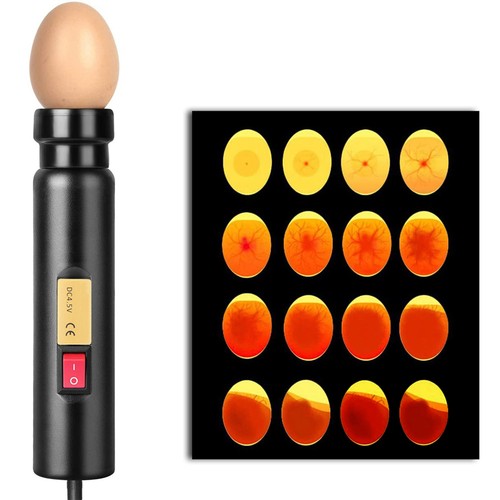 Led light egg candler - led, tester