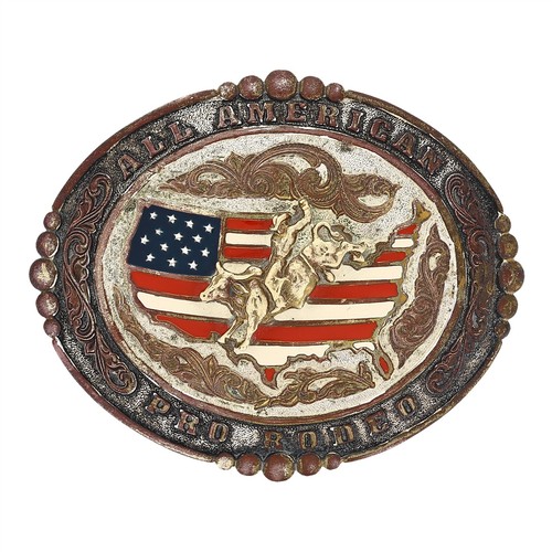 Pro rodeo bull rider - pro, riding