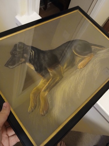 Antique watercolour a dog - a,