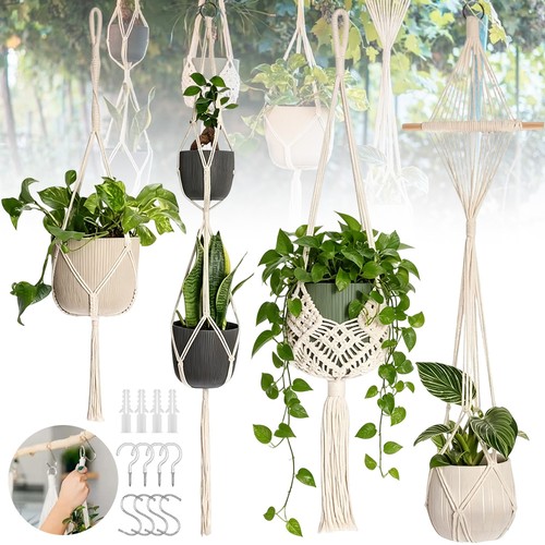 Hanging plant hanger - hanging,