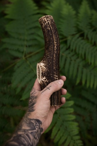Deer antler chews for - antler, dogs