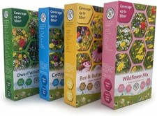 4 Wild flower seeds  Scatter