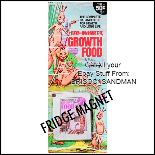 Fridge fun refrigerator magnet - refrigerator,