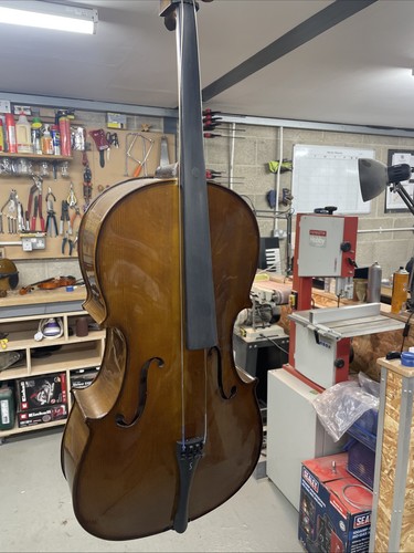 Cello stentor 2 - cello,