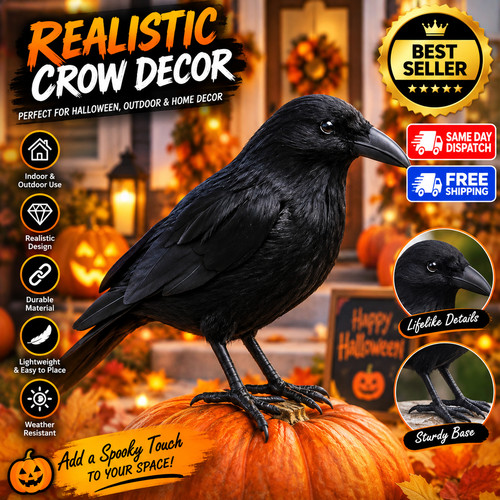 Realistic black crow halloween - crow,