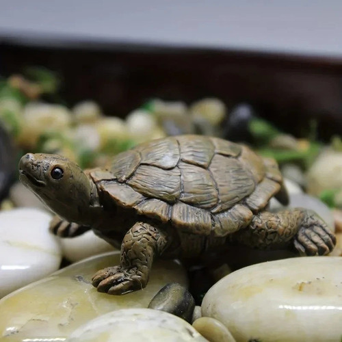 Turtle tortoise art - turtle,