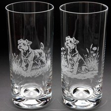 Border Terrier Dog Highball Glass - Hand Etched/Engraved Gift
