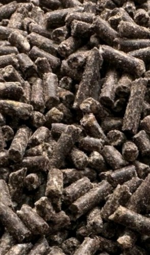 5mm bloodworm pellets 5kg - bloodworm,