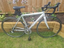 Ladies 'Scott Contessa