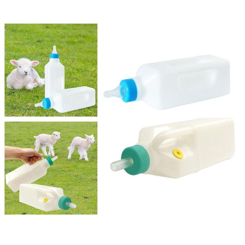 Farm animal bottle sheep milk - bottle,