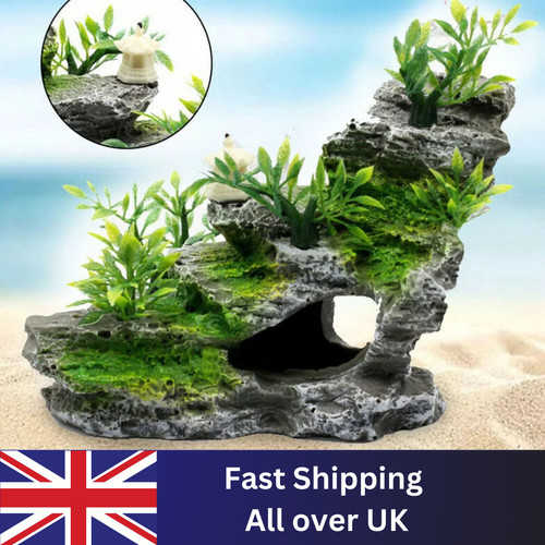 Aquarium fish tank - aquarium,