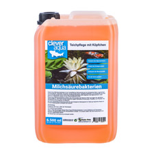 6,500ml lactic acid bacteria / filter bacteria for fish koi & swimming pond