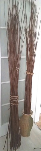 Natural willow branches - natural,