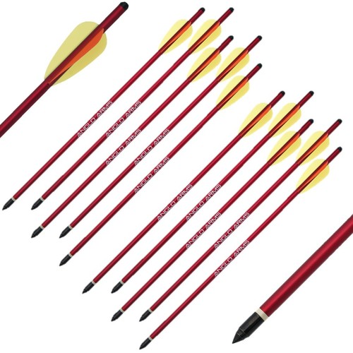 Aluminium crossbow - 10, x