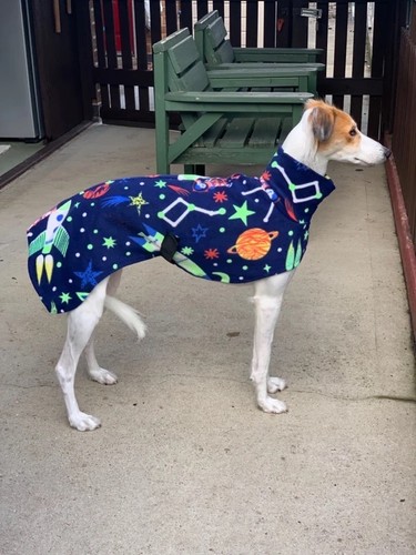 Spaceman fleece dog coat - fleece,