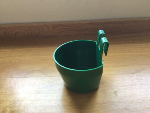 Cage cups chick - cups,