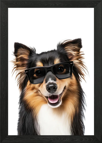 Cool shetland sheepdog - shetland,