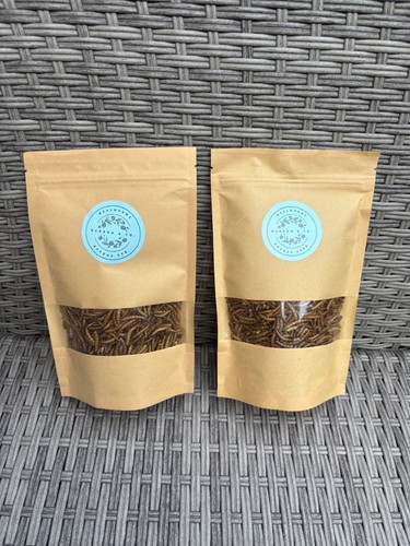 Dried mealworms snack treats - mealworms,
