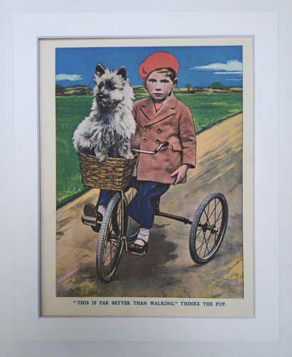 Vintage terrier print 1940s - vintage,