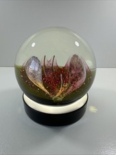 Paperweight Caithness Space