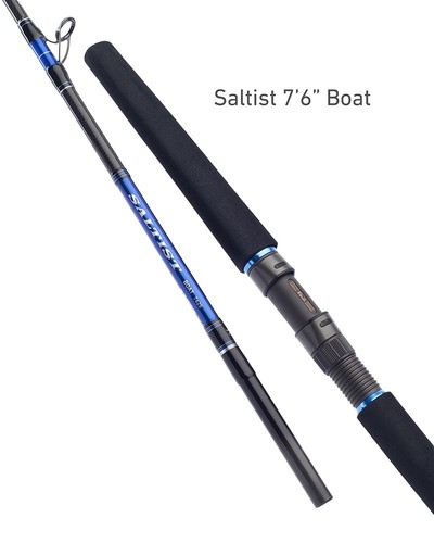 Daiwa saltist 7ft - boat, rods