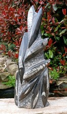 Large Freestanding Orthoceras