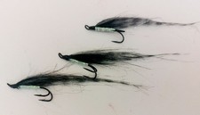 3 x tiger sunrays size  8