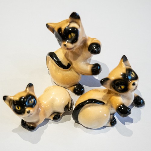 Set family of - 3, siamese