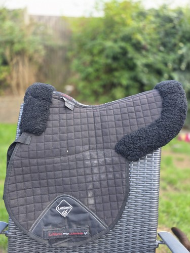 Mieux merino wool - le,