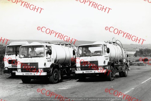 Truck photo dairy - truck,