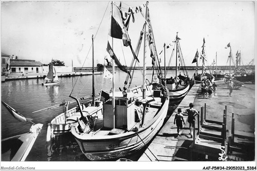 Aafp5 0395 sete the - sete,
