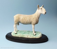 Border Fine Arts Country Show - Blue Faced Leicester Ram A0737