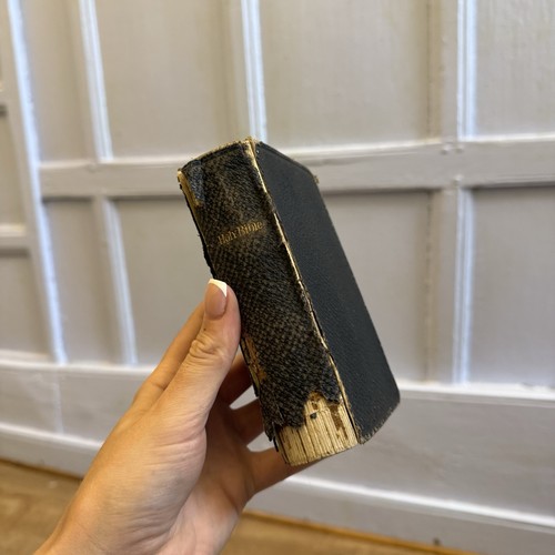 1900 antique oxford holy - 1900, bible