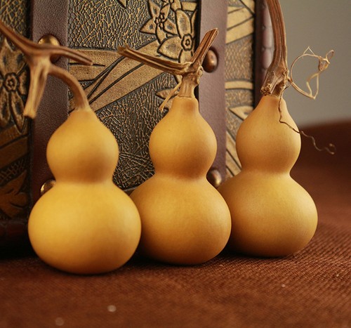 5pcs natural bottle - 5pcs, gourds