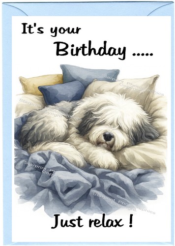 Old english sheepdog - old,