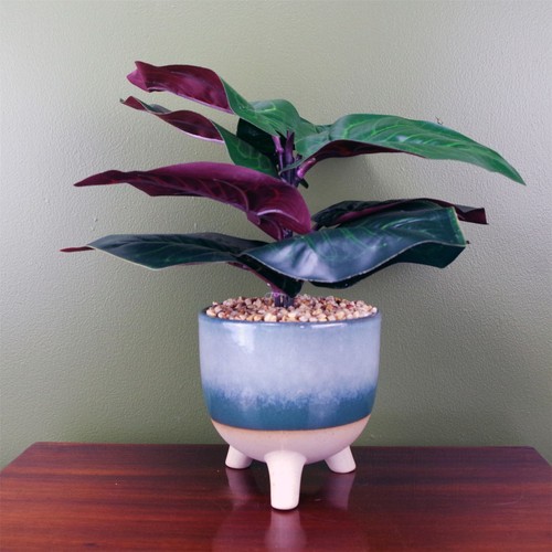 35cm artificial ficus plant - 35cm,
