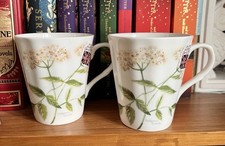 2 X ROSE OF ENGLAND WILD